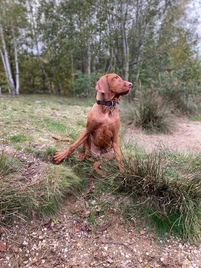 Fotochallenge No. 26                                     Wald und Wiese-Beitrag-Bild