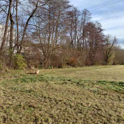 "Wege zur Freundschaft" (Ulli Reichmann)-Beitrag-Bild