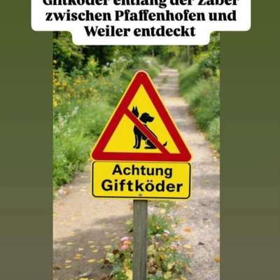 Giftköder-Gift entlang der Zaber-Bild