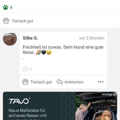 Giftköder-Giftköder in Sachsenheim-Hohenhaslach-Bild