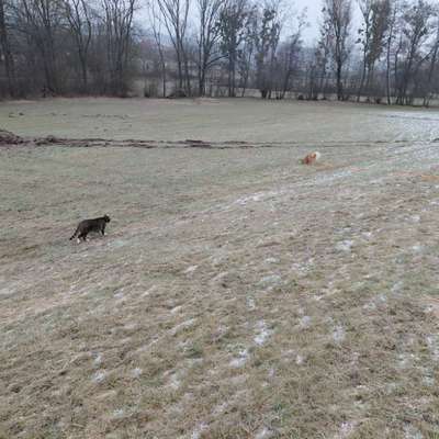"Wege zur Freundschaft" (Ulli Reichmann)-Beitrag-Bild