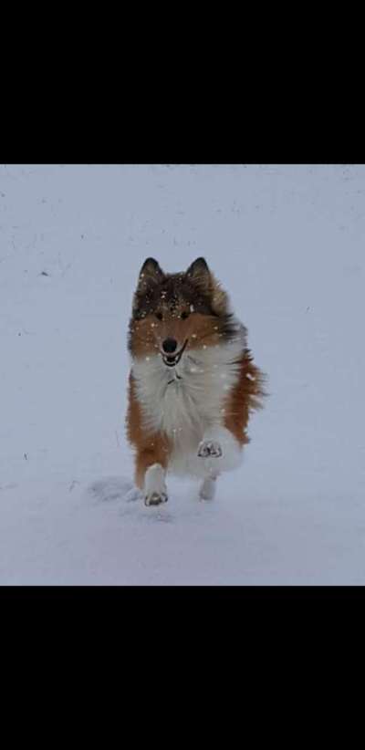 Foto-Challenge Nr. 90: Lebensfreude-Beitrag-Bild