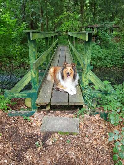 140. Foto Challenge - schattiges Plätzchen-Beitrag-Bild