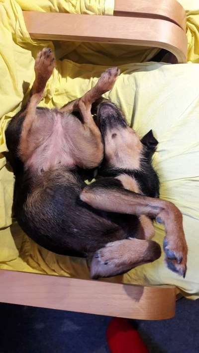 Fotochallenge Nr.65-Beitrag-Bild