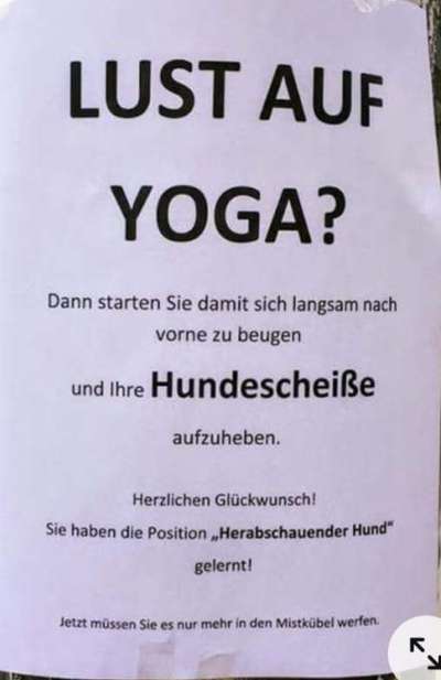 Hundekot :D-Beitrag-Bild