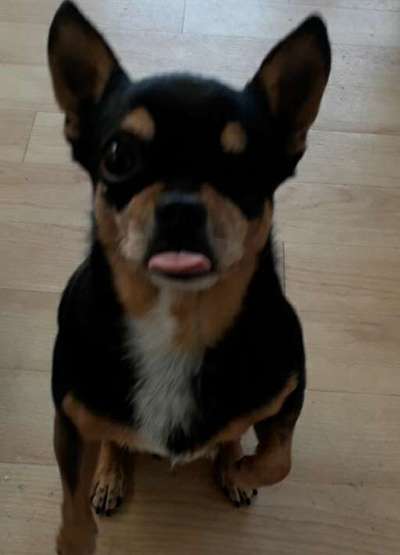 Fotochallenge No. 5-Beitrag-Bild