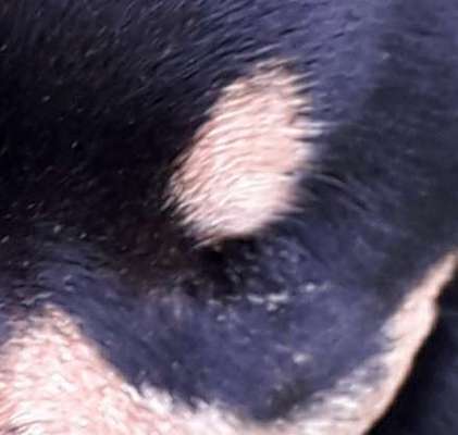 Blick fürs Detail!-Beitrag-Bild