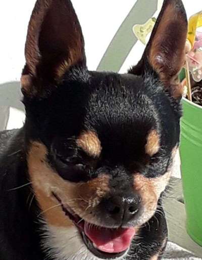 Immer lächeln !-Beitrag-Bild