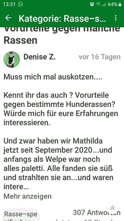 Rassismus bei Hunderassen-Beitrag-Bild