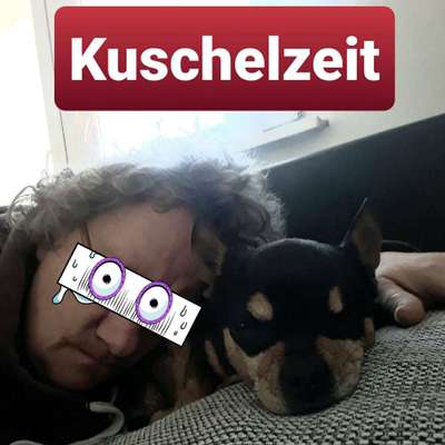 Die lustigsten Selfies mit Deinem Hund !-Beitrag-Bild