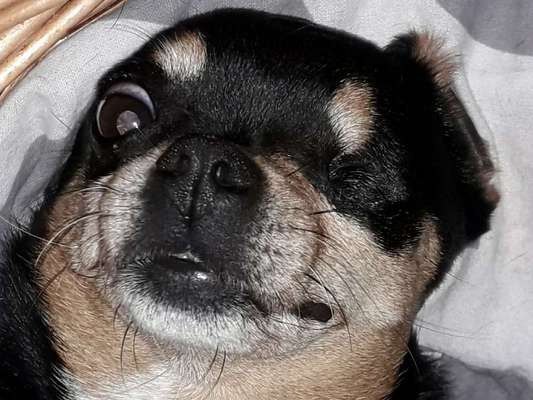 Fotochallange Nr. 6 Die irrsten Blicke-Beitrag-Bild