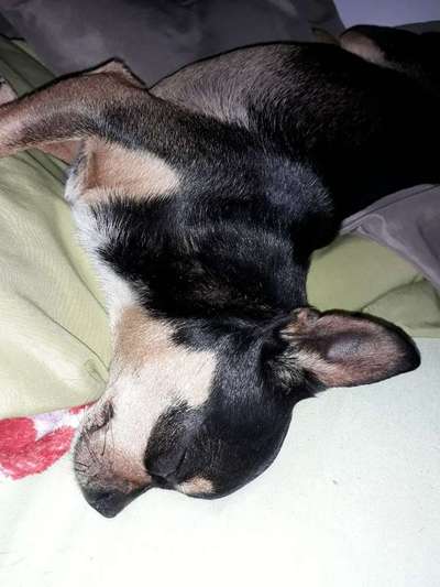 Die unbequemsten und lustigsten Schlafpositionen-Beitrag-Bild