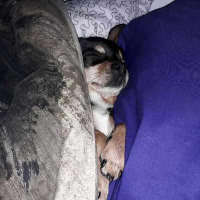 CHALLENGE NR. 34 - Liege-/Schlafpositionen-Beitrag-Bild