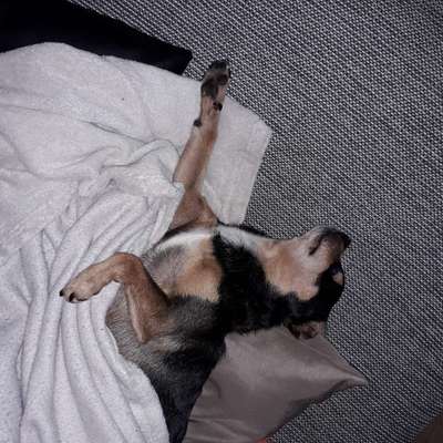 Die unbequemsten und lustigsten Schlafpositionen-Beitrag-Bild