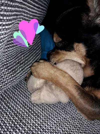 Foto Challenge die Vierte-Beitrag-Bild