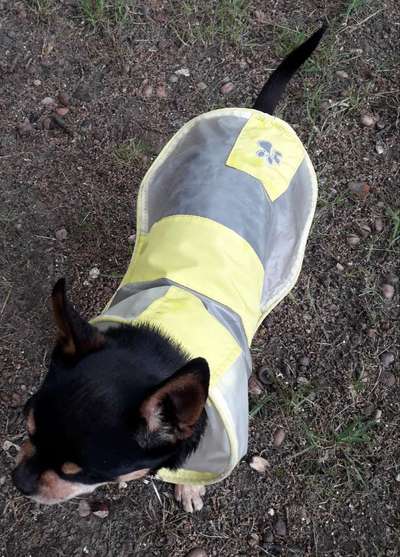 Pullis, Jacken, Hütte und alles sonstiges-Beitrag-Bild