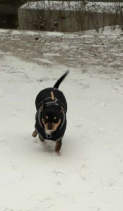 Pullis, Jacken, Hütte und alles sonstiges-Beitrag-Bild