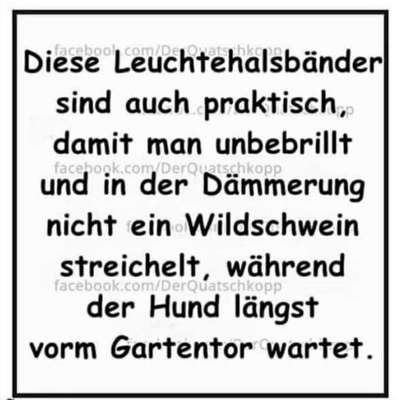 Hunde Memes-Beitrag-Bild