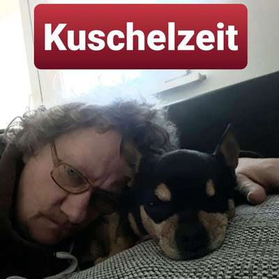 Schmusebilder-Beitrag-Bild