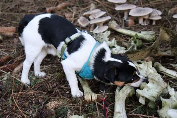 Foto Challenge Nr. 79-Beitrag-Bild