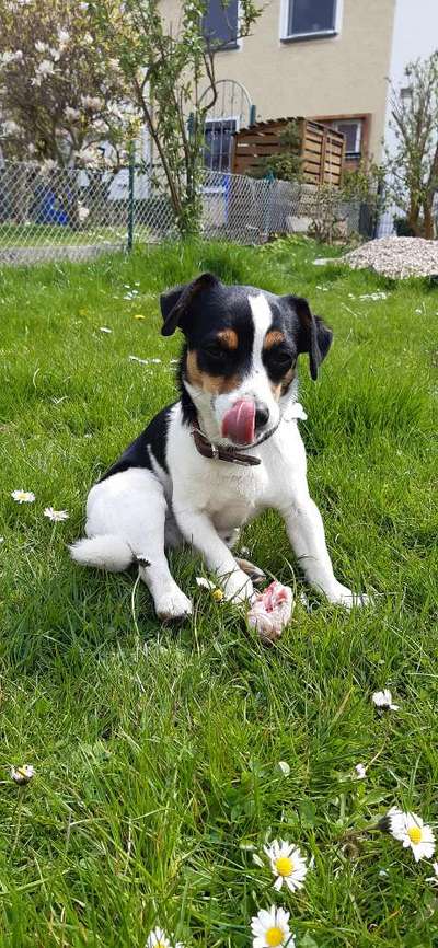 Handyfoto challenge Nr. 13: Waschlappen raus!-Beitrag-Bild