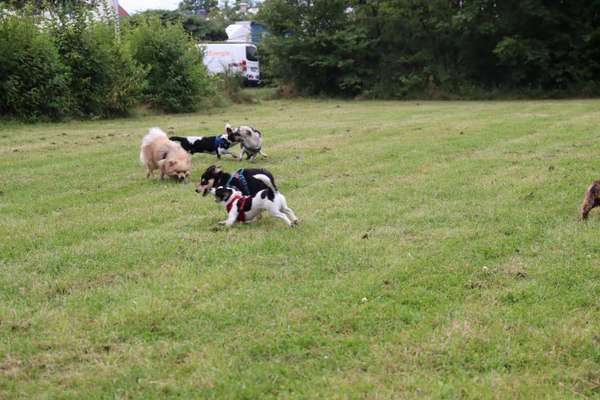 Fotochallenge 69-Beitrag-Bild