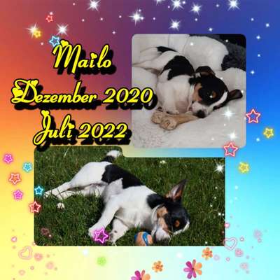 28. Handy-Fotochallenge - Damals und heute-Beitrag-Bild