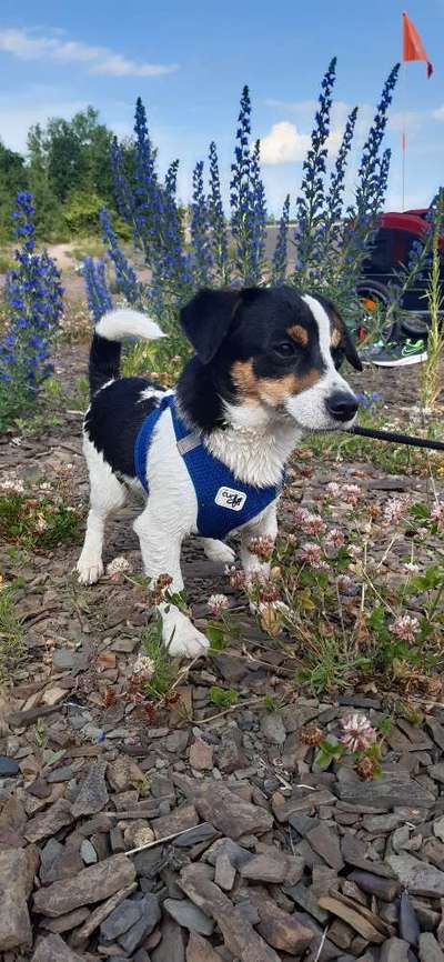 Fotochallenge 78

Es grünt und blüht-Beitrag-Bild