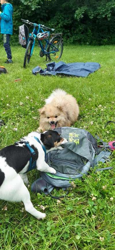 13. Farben-Fotochallenge "Grau"-Beitrag-Bild