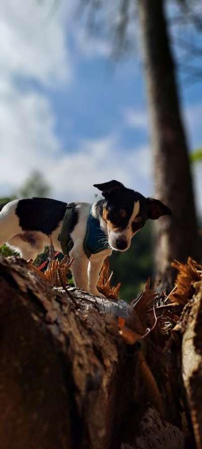 23. Handy Foto-Challenge-Beitrag-Bild