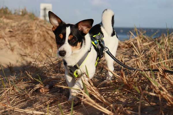 Fotowettbewerb Natur-Beitrag-Bild