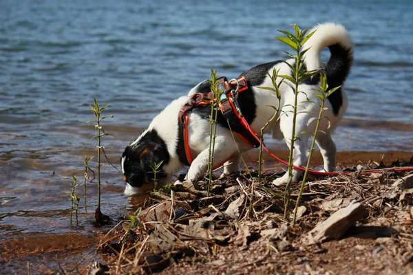 35. Handy Foto Challenge - Das nasse Element-Beitrag-Bild