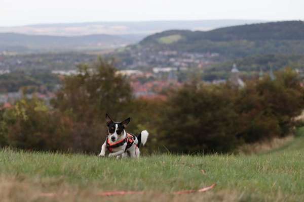 2. Bergfoto-Beitrag-Bild