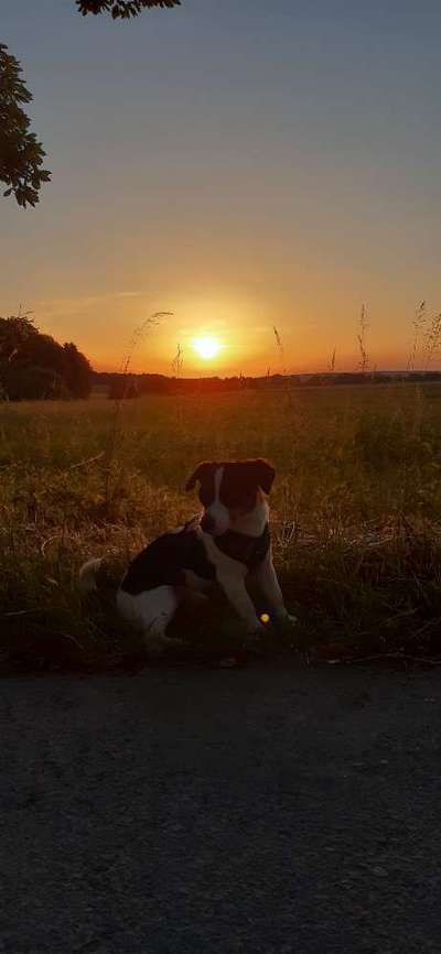 Sonnenaufgänge oder - untergänge-Beitrag-Bild