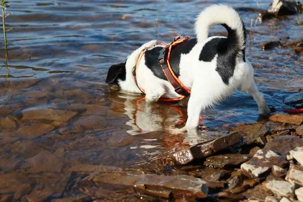 Foto-Challange No.1 - Alles aber nicht die Kamera-Beitrag-Bild