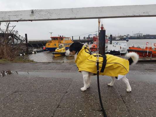 56. Handy Foto Challenge - Grosse Maschinen-Beitrag-Bild