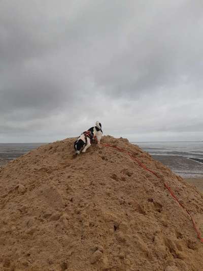 57. Handy Foto Challenge - klettern-Beitrag-Bild