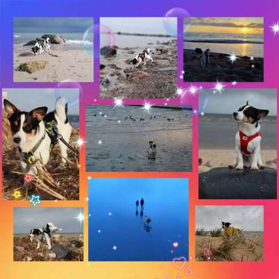 37. Collagen Challenge- Am Strand-Beitrag-Bild