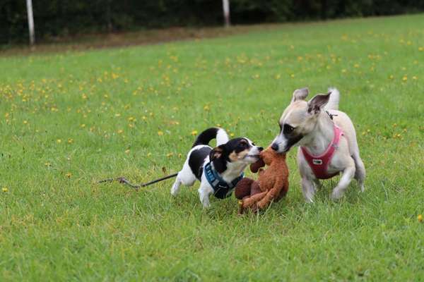 Fotochallenge Nr. 67: Euer Lieblingsbild-Beitrag-Bild