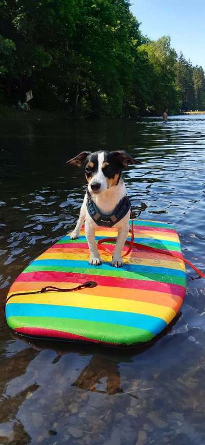 Fotowettbewerb zum Thema "Sonne"-Beitrag-Bild