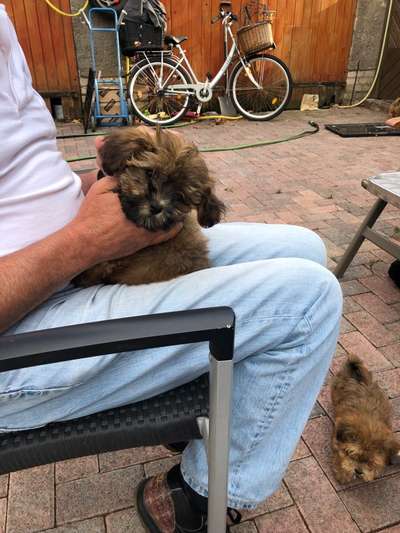 Dogorama Photo Challenge - Der Frühling kommt-Beitrag-Bild