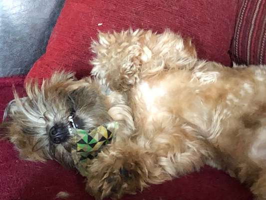 Fotochallenge Nr.65-Beitrag-Bild