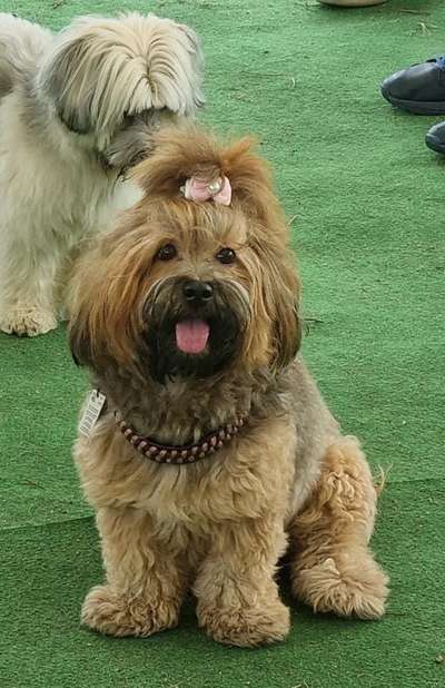 Fotochallenge Nr. 67: Euer Lieblingsbild-Beitrag-Bild