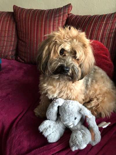 Fotowettbewerb Natur-Beitrag-Bild