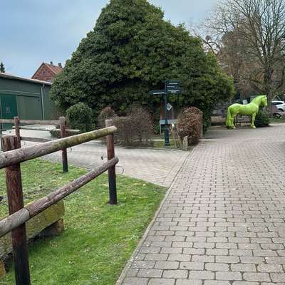 Weitere Unternehmen-Osteopathie für Kleintiere auf dem Therapiehof Steffan-Bild