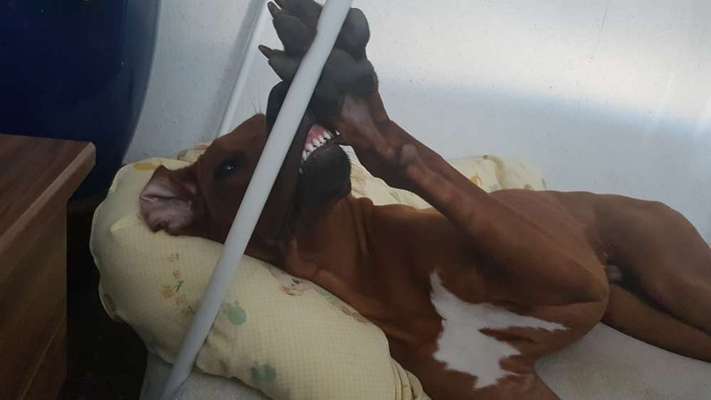 Her mit dem Grimassen-Beitrag-Bild