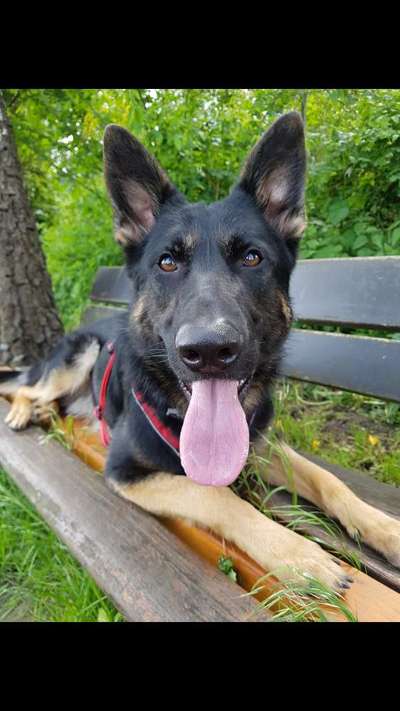 Fotochallange Nr. 57     PORTRÄT.   Beendet!!!!!!!!-Beitrag-Bild