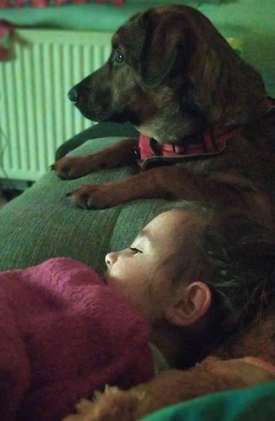 Welpen Bilder !-Beitrag-Bild