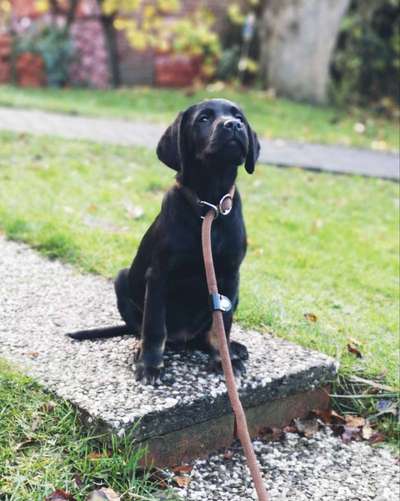 Lieblingsbild-Beitrag-Bild