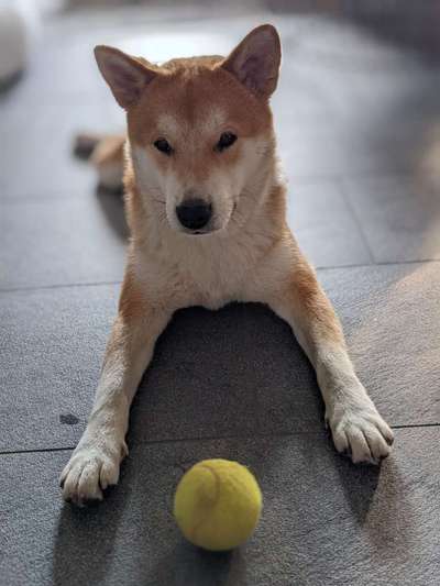 Doppelgänger gesucht !-Beitrag-Bild
